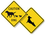 Dog Crossing Signs