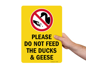 Do Not Feed Animal Sign