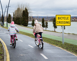 Bicycle Crossing Signs