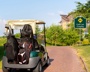 Designer Golf Cart Crossing Sign
