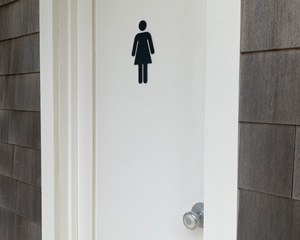 Die cut acyrlic womens room symbol sign