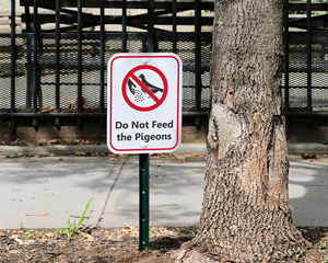 Do not feed pigeons sign