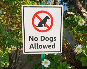 Designer Dog Poop Sign
