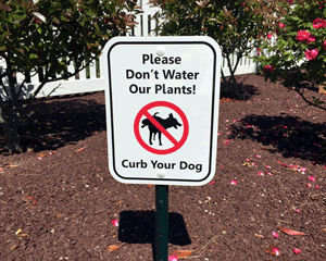 No Dog Pee Sign & Stake Kit