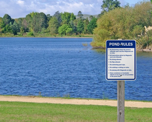 Pond Rules Sign