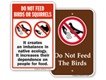 Do not feed the Pigeons