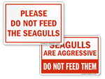 Do Not Feed Seagulls Signs