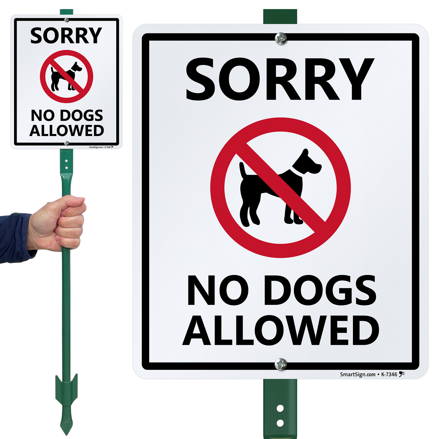 Dogs allowed. Ноу сори. No Dogs allowed. No Dogs.