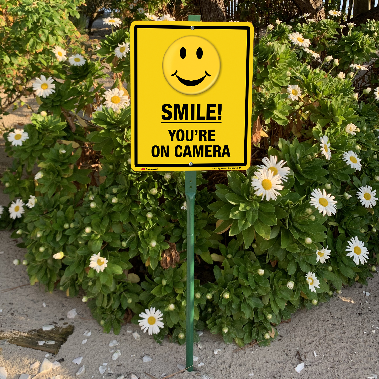 3 SMILE YOU'RE ON CAMERA Coroplast  YARD SIGNS 8x12  w/ Stakes  NEW Security Whi