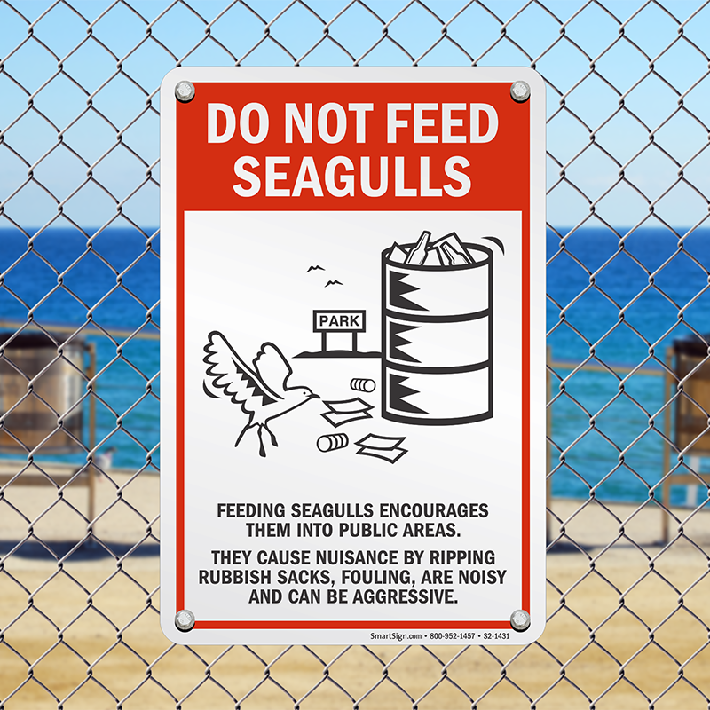 Do Not Feed Seagulls Feeding Seagulls Encouragespublic Areas LABEL DECAL STICKER 