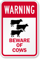 Beware Of Cows With Graphic