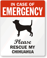 In Case Of Emergency Please My Chihuahua Label
