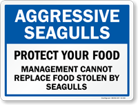 Aggressive Seagulls, Do Not Feed Them Sign