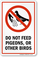 Dont Feed Pigeons or Other Birds Sign