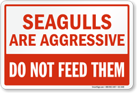 Seagulls Are Aggressive, Dont Feed Them Sign