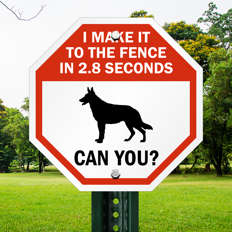Metal Sign dog BD010 Warning I Can Make It To The Gate In 2.8 Seconds Can You 