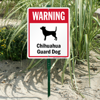 Warning Chihuahua Guard Dog LawnBoss™ Signs