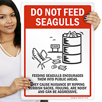 Feeding Seagulls Signs