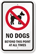 No Dog Beyond This Point (with Graphic) Sign