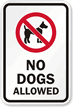 No Dogs Allowed Sign (with Graphic)