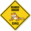 Funny Bearded Dragon Crossing Diamond Sign