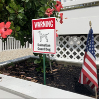 Warning Dalmatian Guard Dog LawnBoss™ Signs