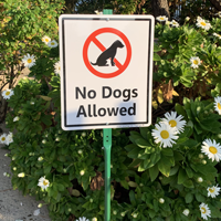 No dogs allowed sign for yard