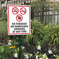 Smoke-Free Area: No Tobacco or Marijuana