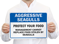 Aggressive SeagullsSigns